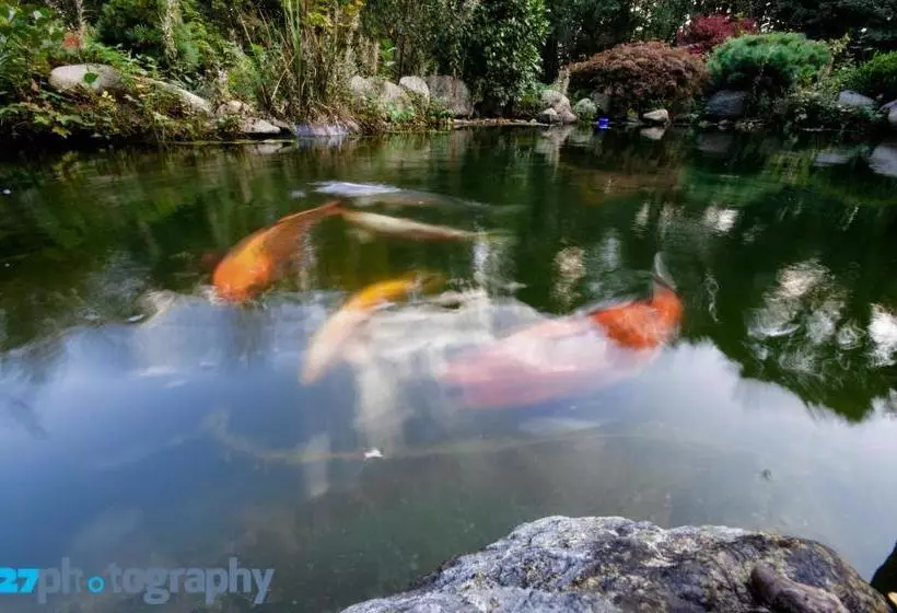 Majatalo Gästehaus Wahnenmühle