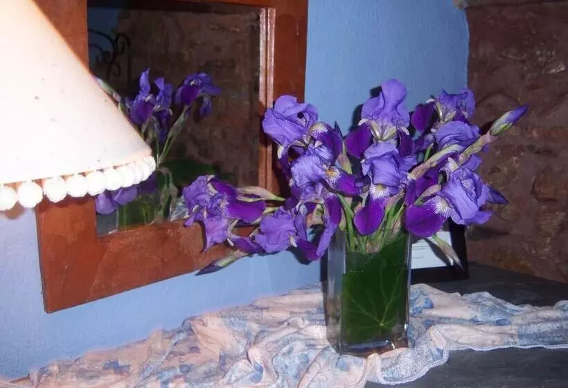 Majatalo Les Velles Escoles