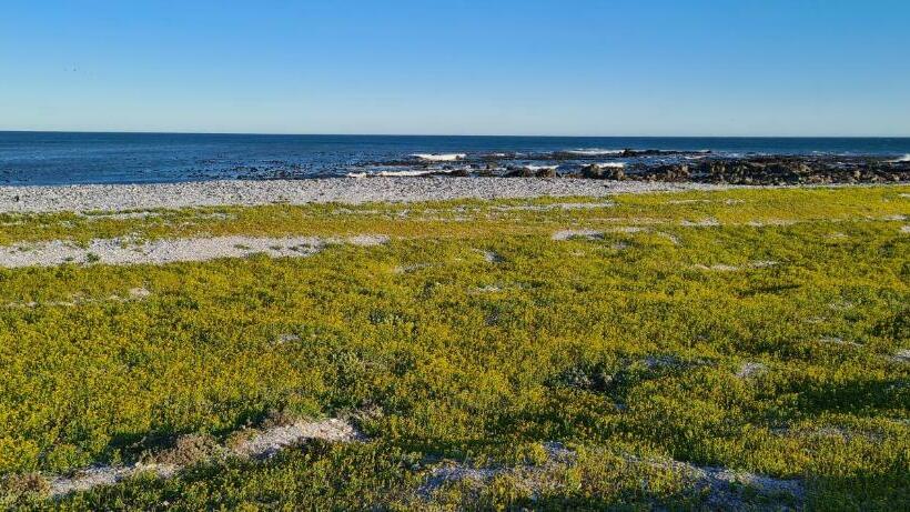 펜션 Oystercatcher Lodge