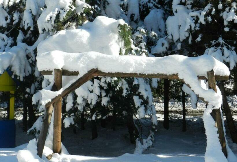 פנסיון Penzion Limba