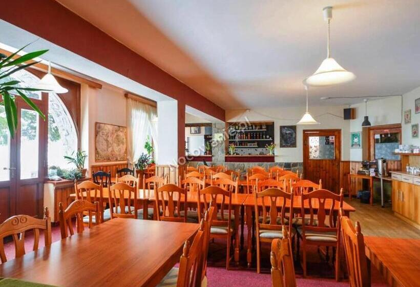 פנסיון Penzion Partizan