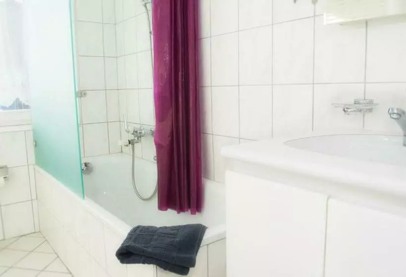 ユースホステル Gasthof Zur Saline