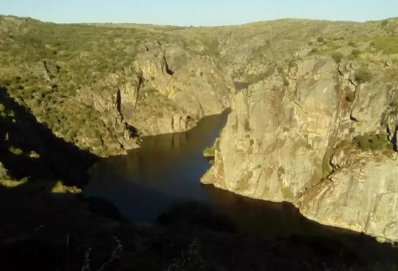 Majatalo Flor Do Douro   Comércio E Hotelaria, Lda