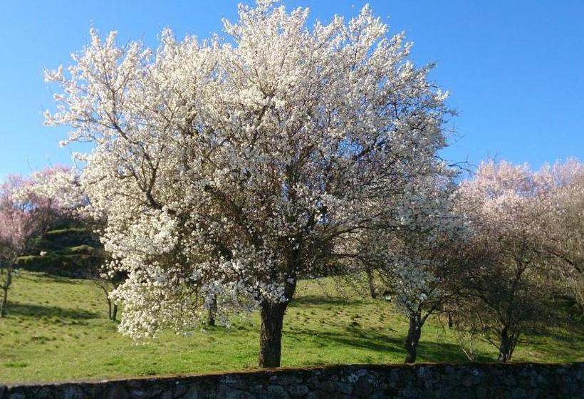 膳宿费 Flor Do Douro   Comércio E Hotelaria, Lda