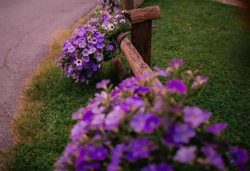 ペンション Garni Stefani