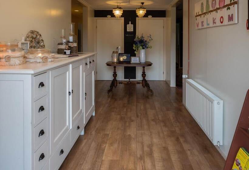 פנסיון Guesthouse Lazey