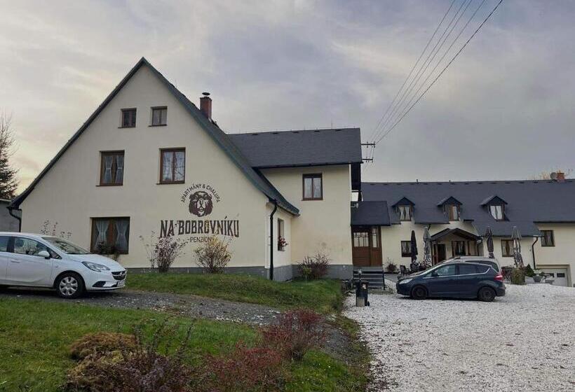 Pensionat Penzion Na Bobrovníku