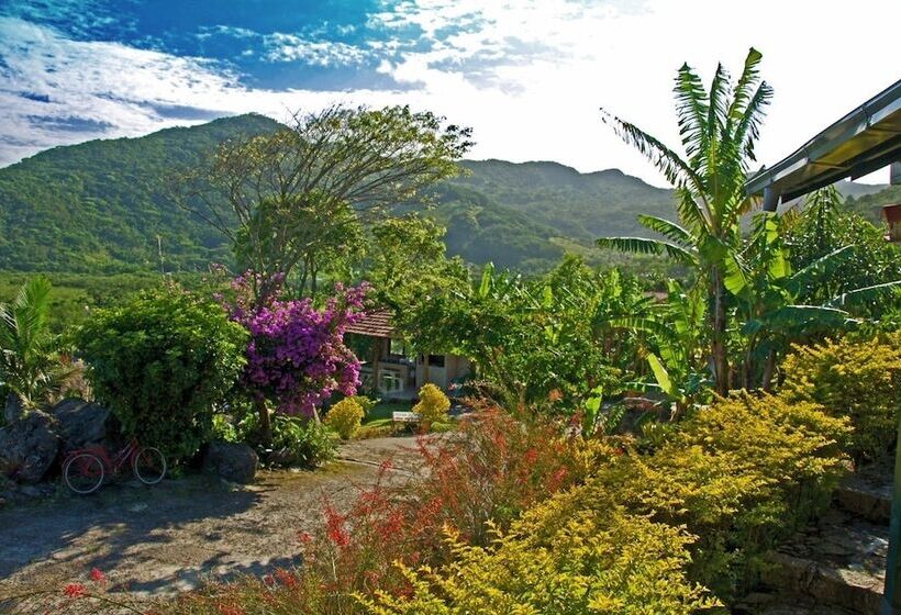 پانسیون Pousada Do Taxo