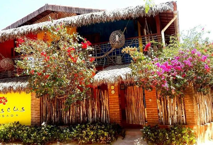 Pension (Hôtel basse catégorie) Pousada Ibiscus