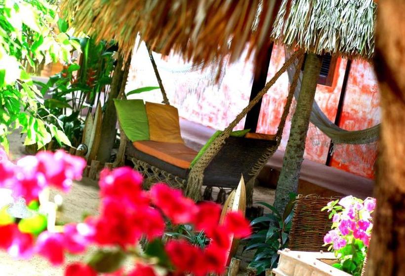 Pension (Hôtel basse catégorie) Pousada Ibiscus