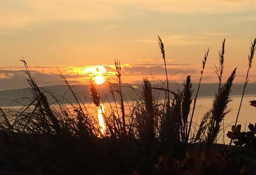 Пансион Whitecliff Guest House