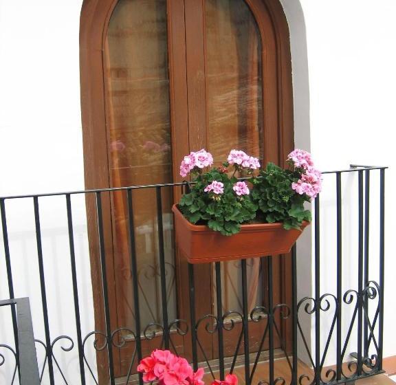 Pensión Boutique Oliva