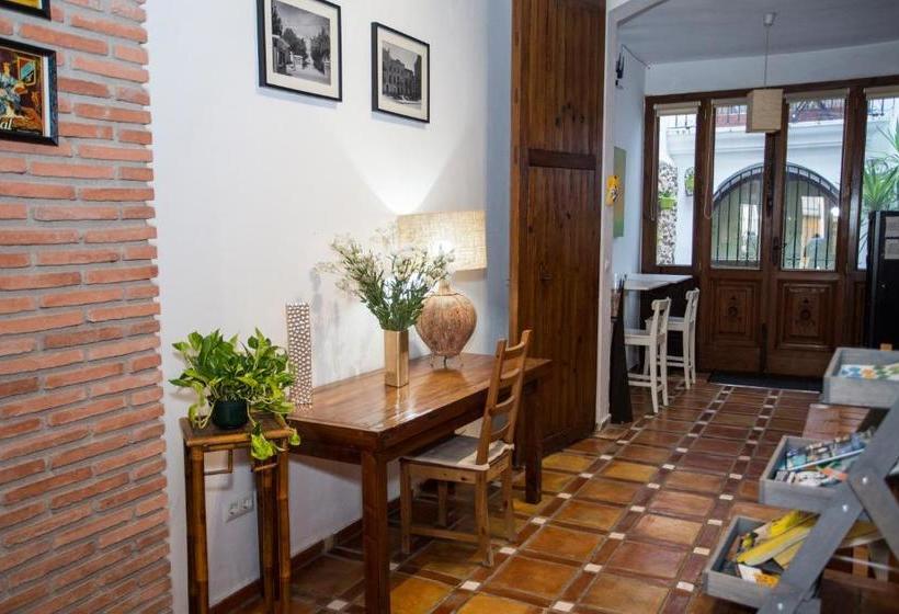 Pensión Boutique Oliva