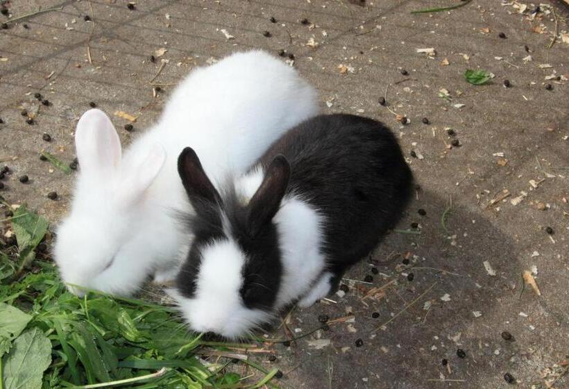 بنسيون Gut Sonnbichl