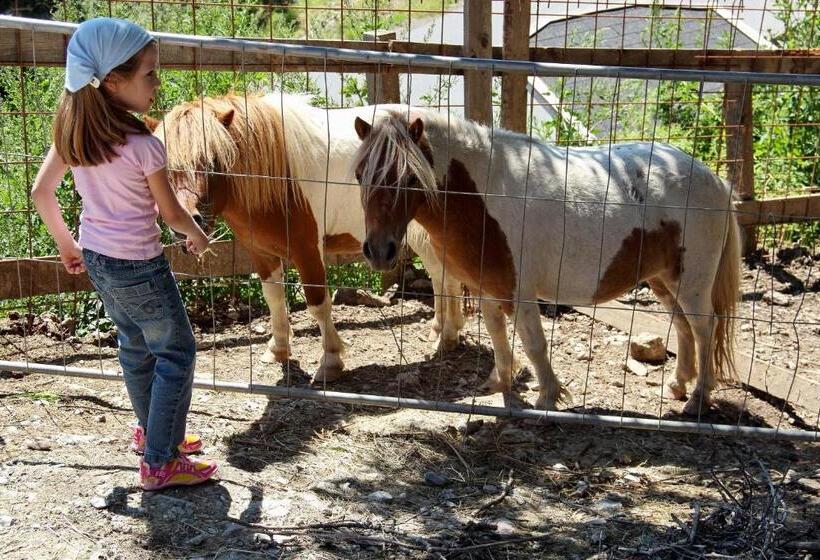 بنسيون Gut Sonnbichl