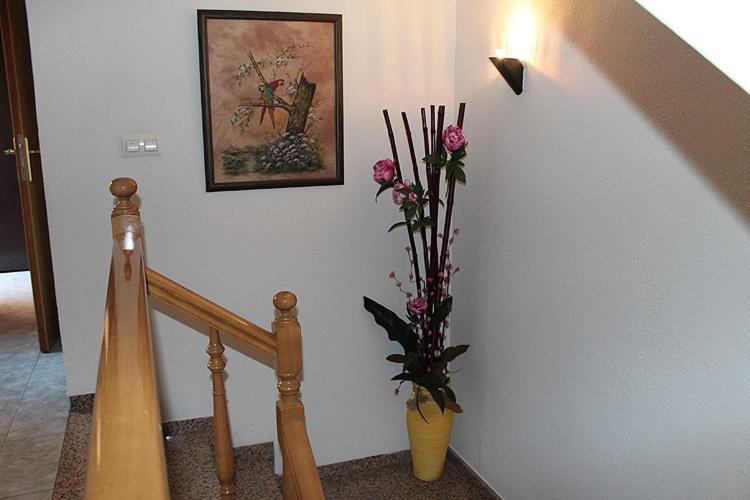 פנסיון Hostal La Barretina