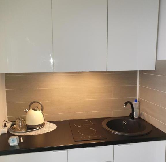 پانسیون Palve