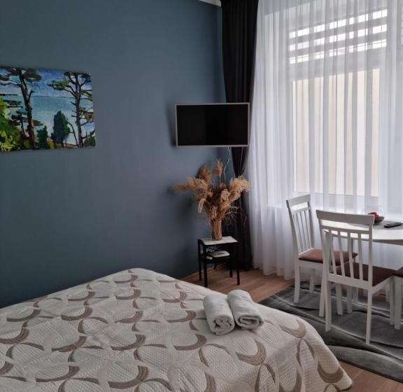 پانسیون Palve