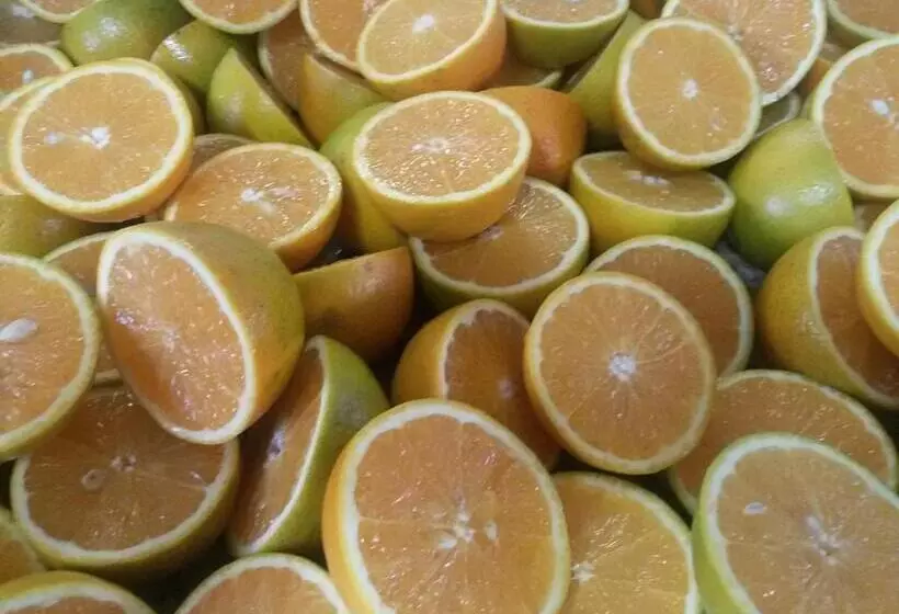 Pensão Pousada Convento Da Penha