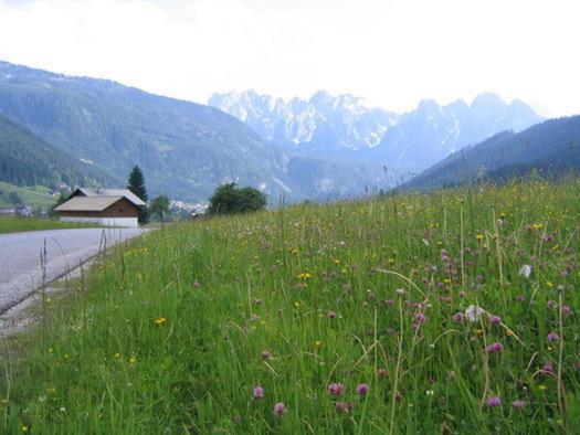 پانسیون Privatzimmer Anneliese