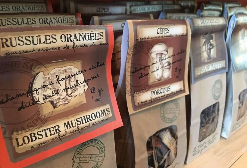 فندق صغير Auberge Du Marchand