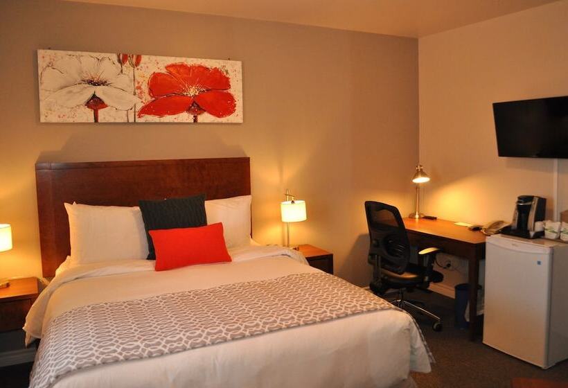 فندق صغير Auberge Du Marchand