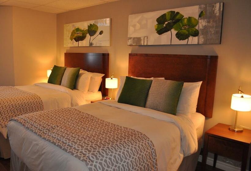 فندق صغير Auberge Du Marchand