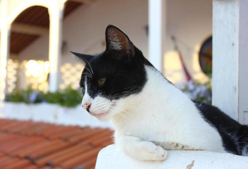 Hostel Espaço Nova Era Pousada