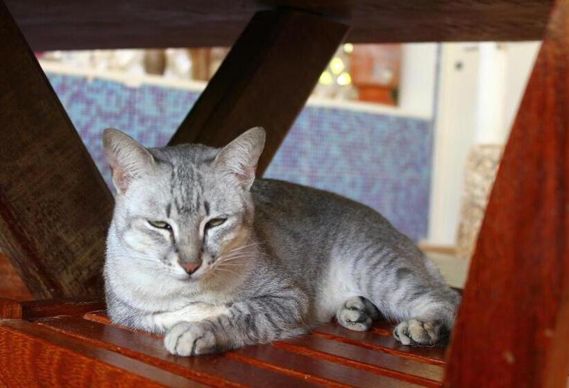 Hostel Espaço Nova Era Pousada