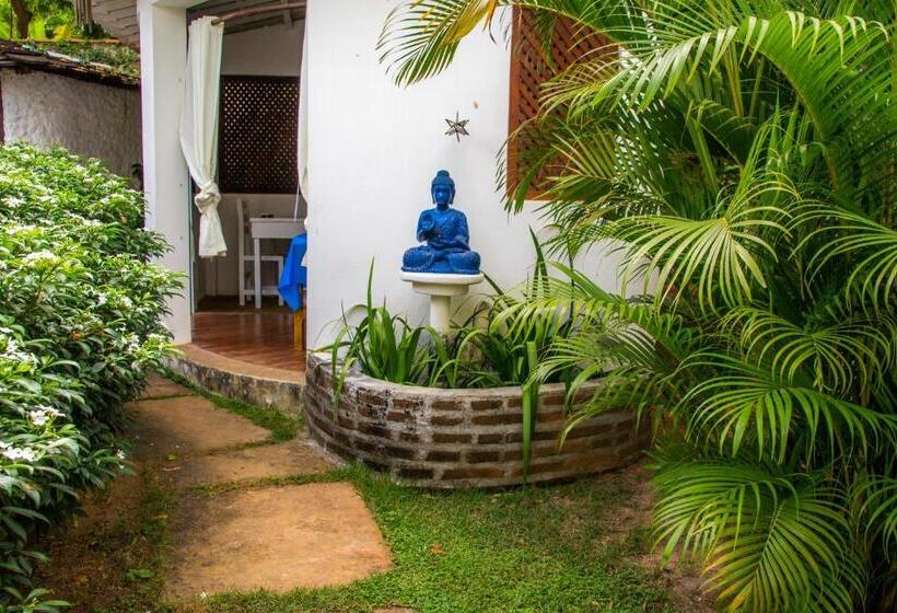 Hostel Espaço Nova Era Pousada