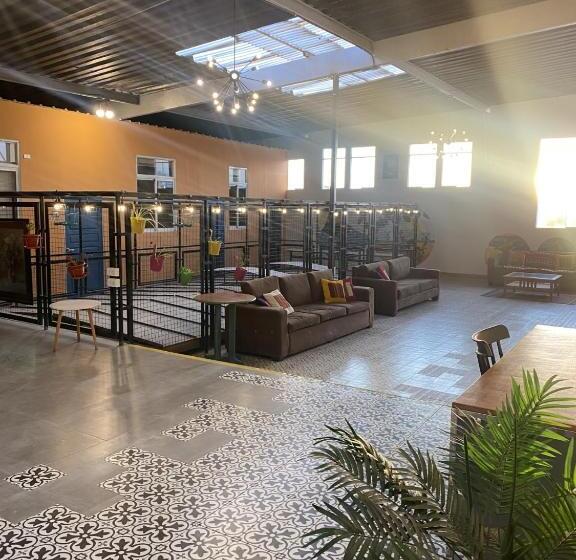 ユースホステル Los Andes Bed & Breakfast