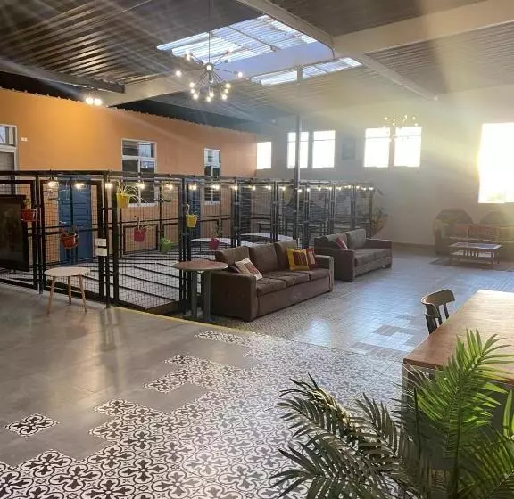 هاستل Los Andes Bed & Breakfast