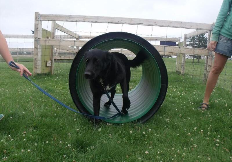 هاستل Marco Polo Inn