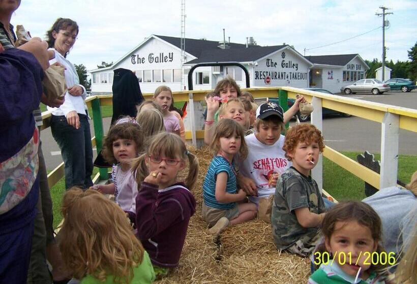 هاستل Marco Polo Inn