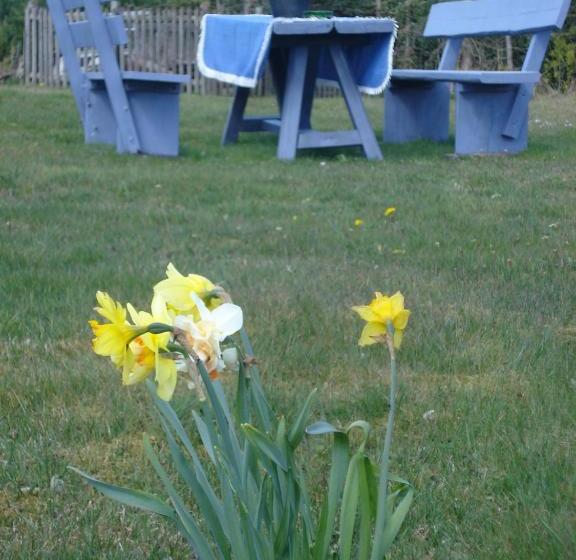 بنسيون B&b All Seasons