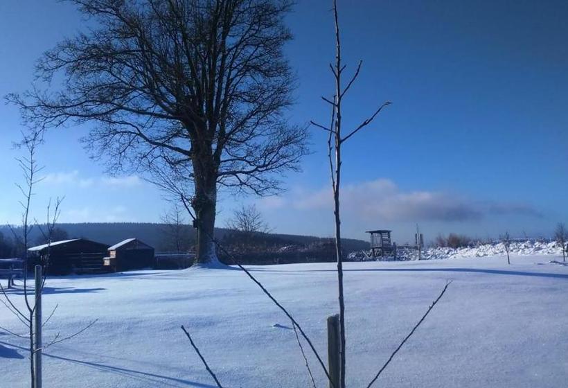 بنسيون B&b All Seasons