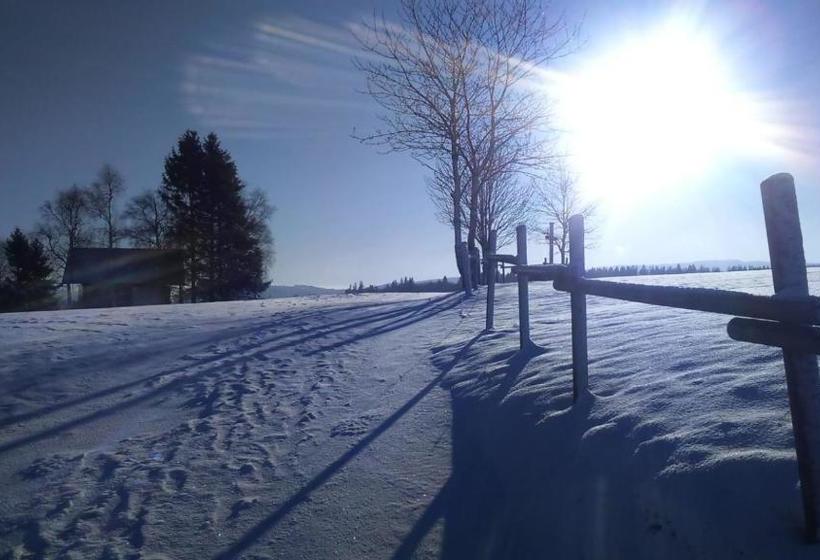 بنسيون B&b All Seasons