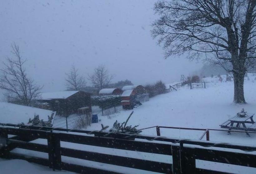 بنسيون B&b All Seasons