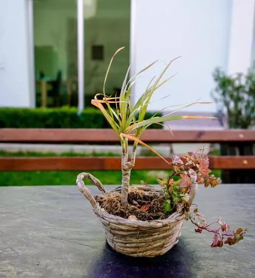 پانسیون Casa Verde