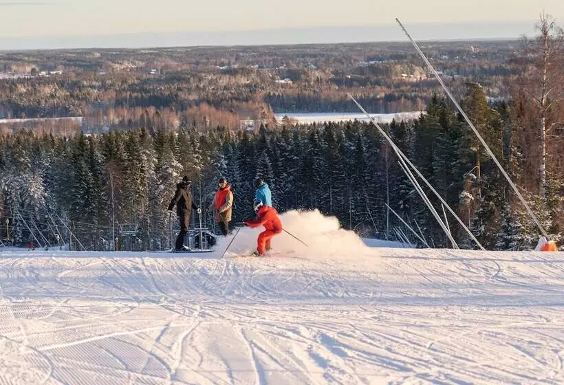 ペンション Högbo Hotell Skommarsgården