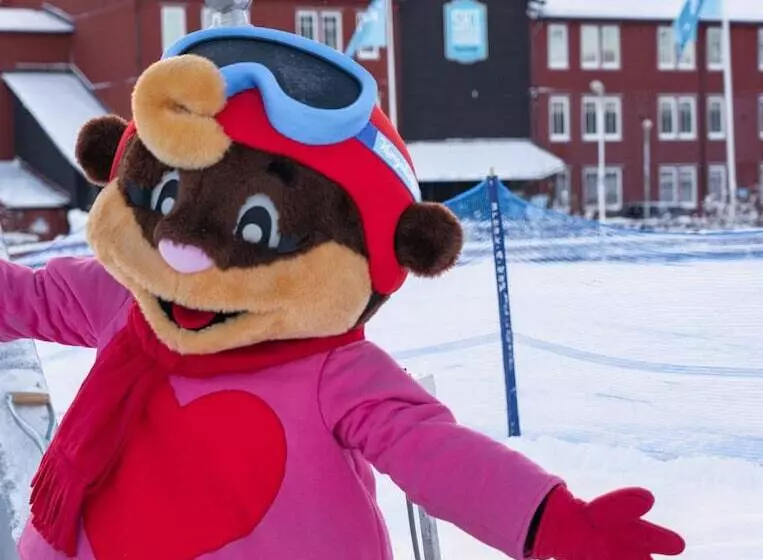 ペンション Högbo Hotell Skommarsgården