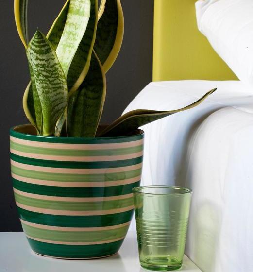 پانسیون Hostal Totsompops