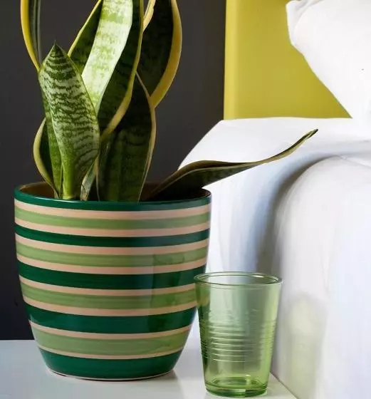 Pension Hostal Totsompops