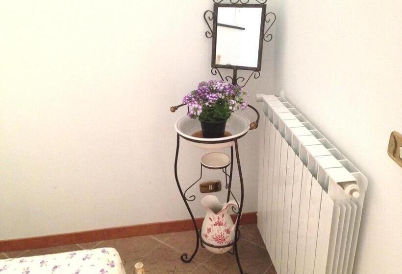 بنسيون Le Conchiglie