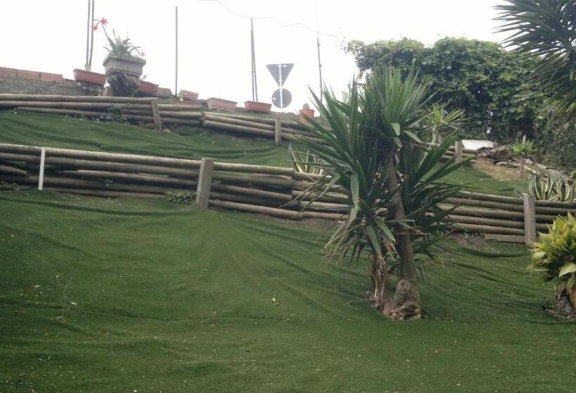 بنسيون Le Conchiglie