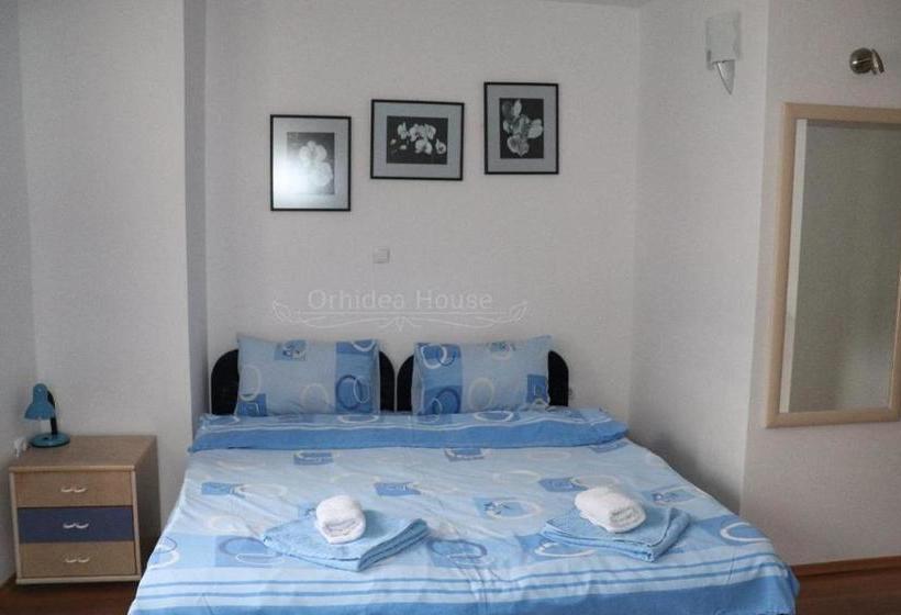 پانسیون Orhidea House
