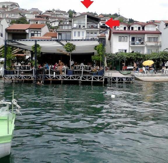 پانسیون Orhidea House