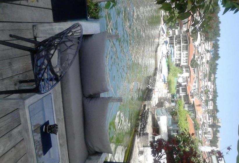 پانسیون Orhidea House