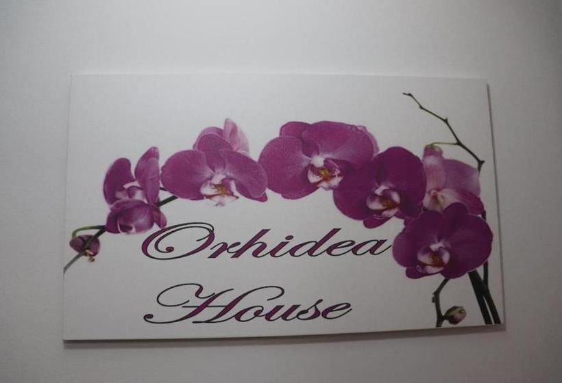 پانسیون Orhidea House
