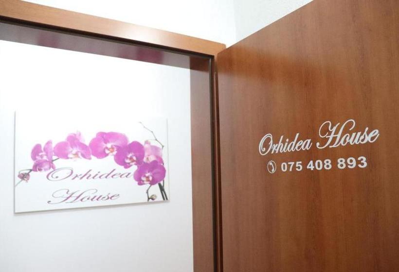 پانسیون Orhidea House
